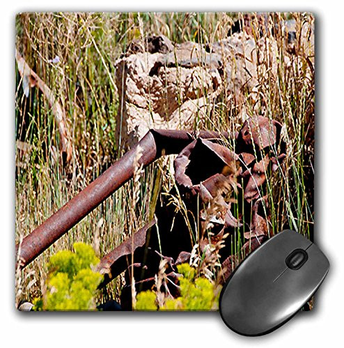 3dRose LLC 8 x 8 x 0.25 Inches Mouse Pad, an Old Rustic Piece of Pipe Resting On Some Green Grass and Yellow Weeds (mp_47444_1)