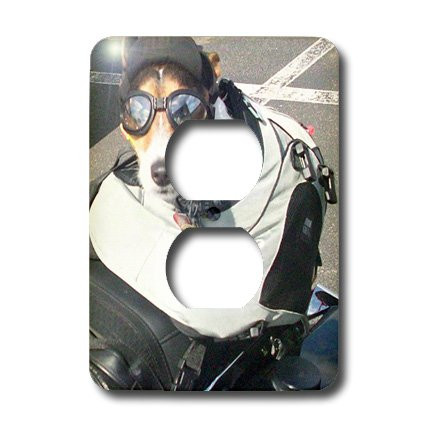 3dRose lsp_6062_6"Motorcycle Dog" 2 Plug Outlet Cover Multicolor
