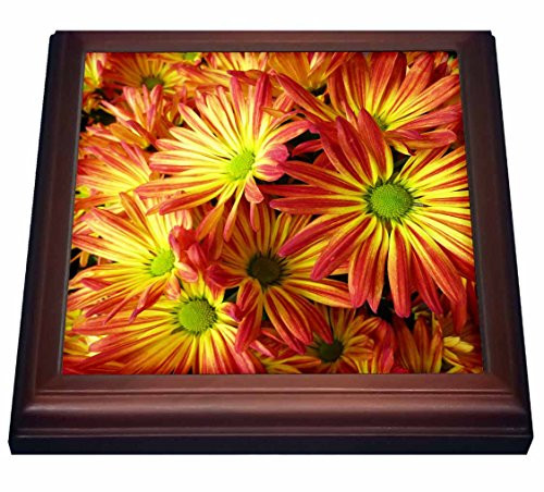 3dRose Yellow and Red Mexican Daisies Trivet with Ceramic Tile, 8 by 8 inch, Brown 3dRose Yellow and Red Mexican Daisies Trivet with Ceramic Tile, 8 by 8 inch, Brown