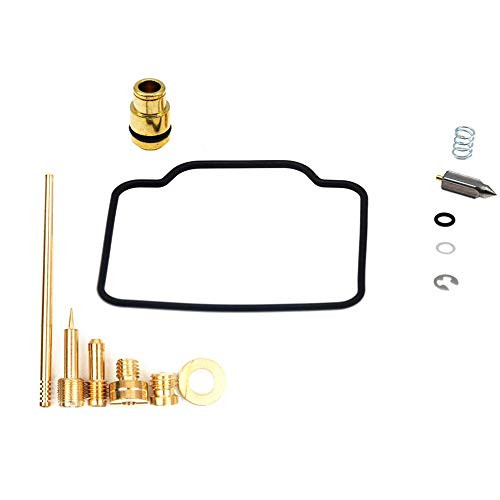 CQYD New LTF250 Carb Repair Carburetor Rebuild Kit for Suzuki LTF250 Quadrunner 1997-1999 LTF250F CQYD New LTF250 Carb Repair Carburetor Rebuild Kit for Suzuki LTF250 Quadrunner 1997-1999 LTF250F