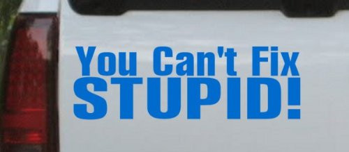 Blue 4in X 12in -- You Can't Fix Stupid Funny Car Window Wall Laptop Decal Sticker