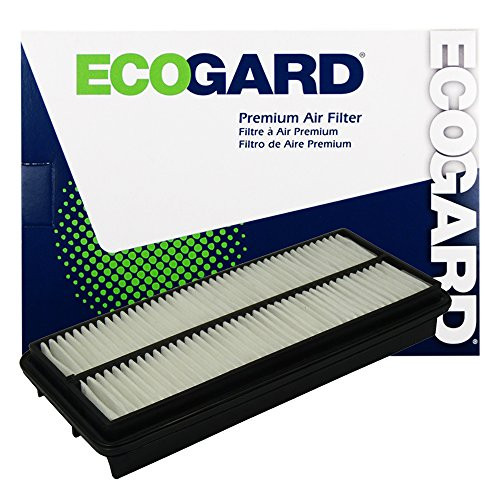 ECOGARD XA5585 Premium Engine Air Filter Fits Acura TL 3.2L 2004-2006, RL 3.5L 2005-2008 Honda Accord 3.0L 2006-2007 ECOGARD XA5585 Premium Engine Air Filter Fits Acura TL 3.2L 2004-2006, RL 3.5L 2005-2008 Honda Accord 3.0L 2006-2007