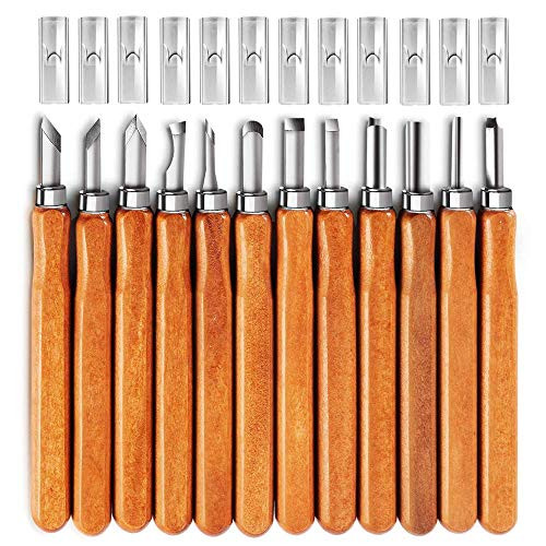 12 Piece SK2 High Carbon Steel Blades with 3 Sharpening Stones and Black EV Bag