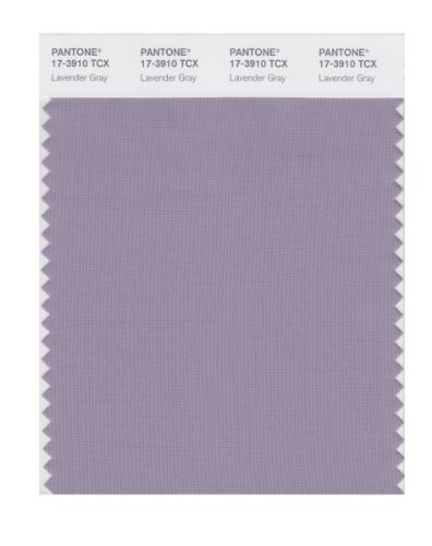 PANTONE Smart 17-3910X Color Swatch Card, Lavender Gray