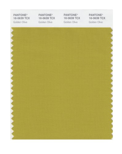 PANTONE Smart 16-0639X Color Swatch Card, Golden Olive