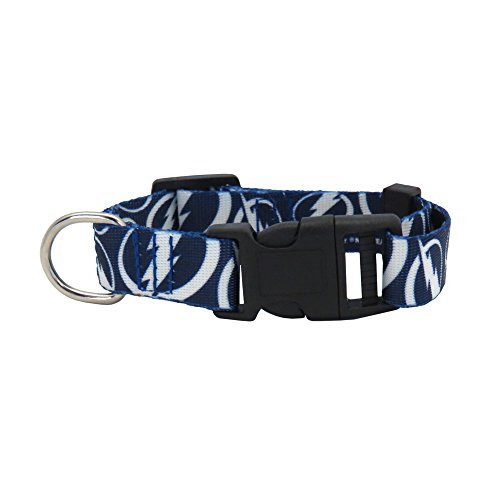 NHL Tampa Bay Lightning Team Pet Collar, Medium