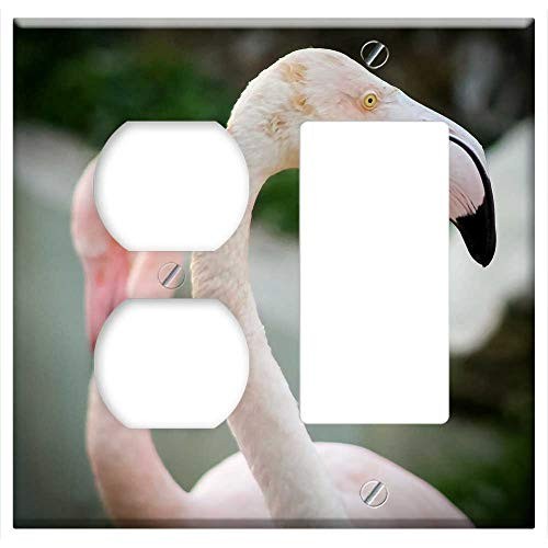 2-Gang, Outlet Rocker/GFCI Combination Wall Plate Cover - Flamingo Animal Zoo Pink Winged Bird Pen 2-Gang, Outlet Rocker/GFCI Combination Wall Plate Cover - Flamingo Animal Zoo Pink Winged Bird Pen