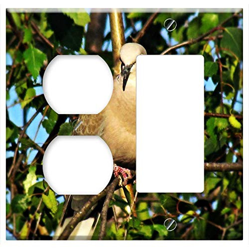 2-Gang, Outlet Rocker/GFCI Combination Wall Plate Cover - Dove Bird Nature Pen Pigeons Park Spring 2-Gang, Outlet Rocker/GFCI Combination Wall Plate Cover - Dove Bird Nature Pen Pigeons Park Spring