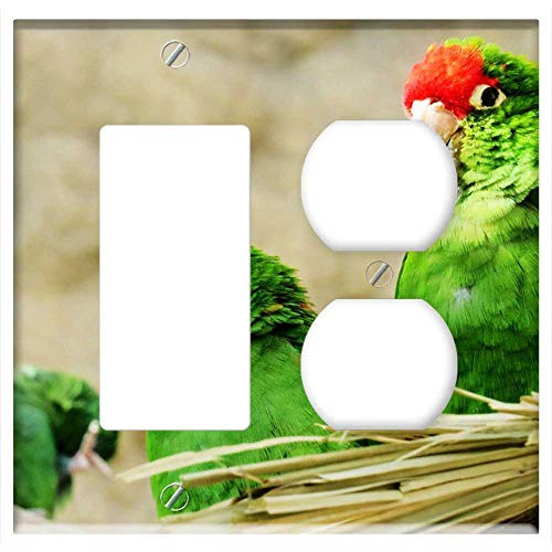2-Gang, Rocker/GFCI Outlet Combination Wall Plate Cover - Birds Zoo Eye Pen Animal World Animal Nature 2-Gang, Rocker/GFCI Outlet Combination Wall Plate Cover - Birds Zoo Eye Pen Animal World Animal Nature
