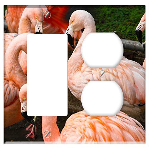 2-Gang, Rocker/GFCI Outlet Combination Wall Plate Cover - Pink Herons Birds Zoo Animals Pen Flamingo 2-Gang, Rocker/GFCI Outlet Combination Wall Plate Cover - Pink Herons Birds Zoo Animals Pen Flamingo