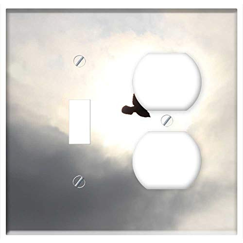 2-Gang, Toggle Outlet Combination Wall Plate Cover - Birds Sky Flight Pigeons Pen Wings Nature Skies