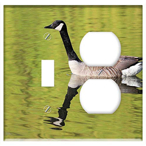 2-Gang, Toggle Outlet Combination Wall Plate Cover - Goose Pond Birds Plumage Animals Pen Animal