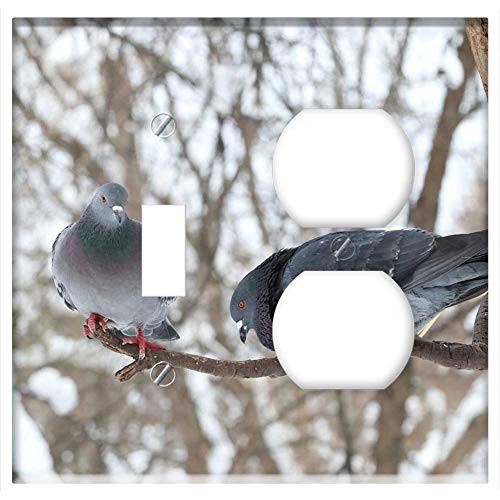2-Gang, Toggle Outlet Combination Wall Plate Cover - Winter Bird Tree Nature Snow Coldly Outdoors Pen 2-Gang, Toggle Outlet Combination Wall Plate Cover - Winter Bird Tree Nature Snow Coldly Outdoors Pen