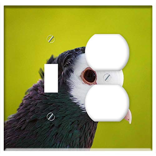 2-Gang, Toggle Outlet Combination Wall Plate Cover - Bird Pigeon Animal Pen Nature Animals Ornithology