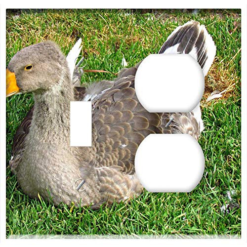 2-Gang, Toggle Outlet Combination Wall Plate Cover - Goose Bird Nature Pen Beak Grass Wild Birds 2-Gang, Toggle Outlet Combination Wall Plate Cover - Goose Bird Nature Pen Beak Grass Wild Birds