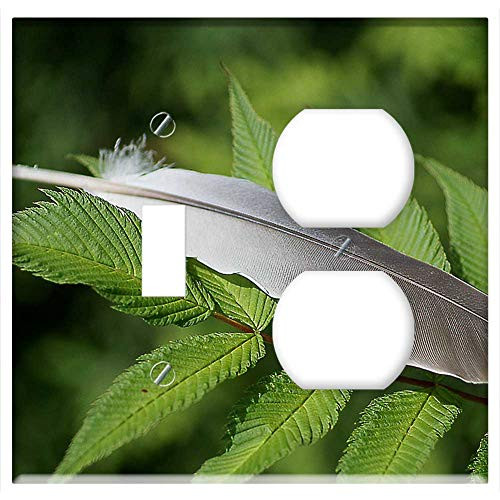 2-Gang, Toggle Outlet Combination Wall Plate Cover - Pen Feather Pigeon Stosina Green Gray Foliage