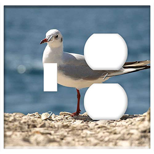 2-Gang, Toggle Outlet Combination Wall Plate Cover - Nature Summer The Sun Seagull Bird Animals Pen 1 2-Gang, Toggle Outlet Combination Wall Plate Cover - Nature Summer The Sun Seagull Bird Animals Pen 1