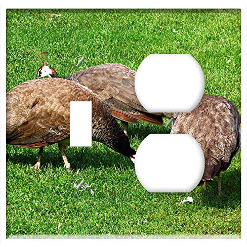 2-Gang, Toggle Outlet Combination Wall Plate Cover - Peacock Bird Nature Proud Plumage Pen Peacock Eye