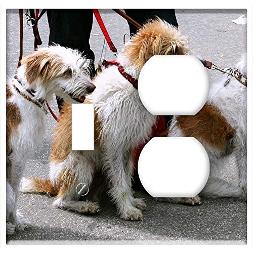2-Gang, Toggle Outlet Combination Wall Plate Cover - Dogs Canines Pets Leash Leashed Led Dog-Walker