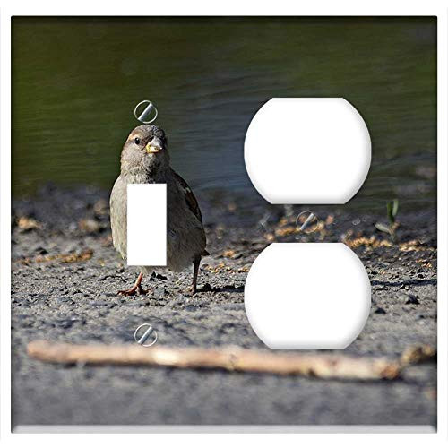 2-Gang, Toggle Outlet Combination Wall Plate Cover - The Sparrow Bird Nature Pen Branch Fauna Tree