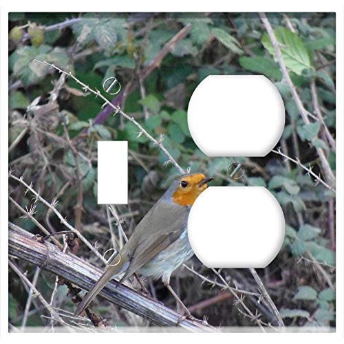 2-Gang, Toggle Outlet Combination Wall Plate Cover - Robin Ave Pen Bird Field