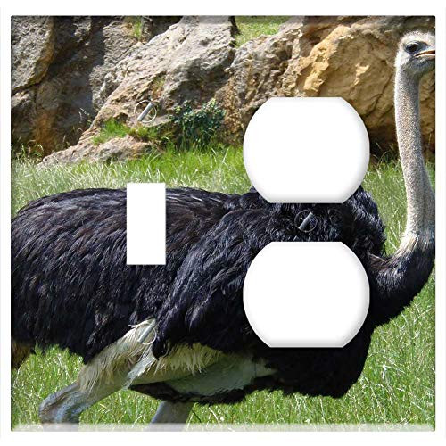 2-Gang, Toggle Outlet Combination Wall Plate Cover - Ostrich Birds Animals Pen Animal World Nature