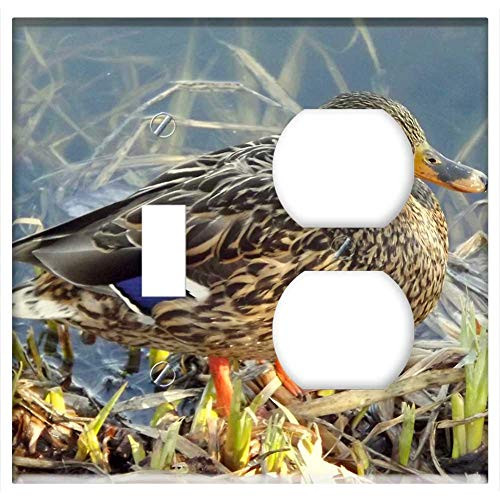 2-Gang, Toggle Outlet Combination Wall Plate Cover - Birds Nature Animals Pen Beak Duck Beach 2-Gang, Toggle Outlet Combination Wall Plate Cover - Birds Nature Animals Pen Beak Duck Beach