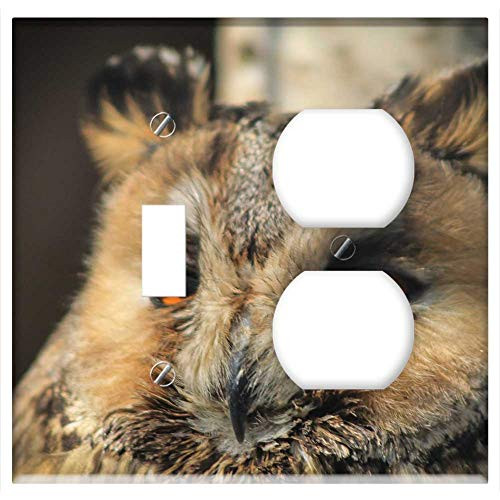 2-Gang, Toggle Outlet Combination Wall Plate Cover - Owl Portrait Animal Pen Feathered Bird Madarfele