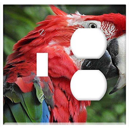 2-Gang, Toggle Outlet Combination Wall Plate Cover - Parrot Bird Animal Pen Exotic