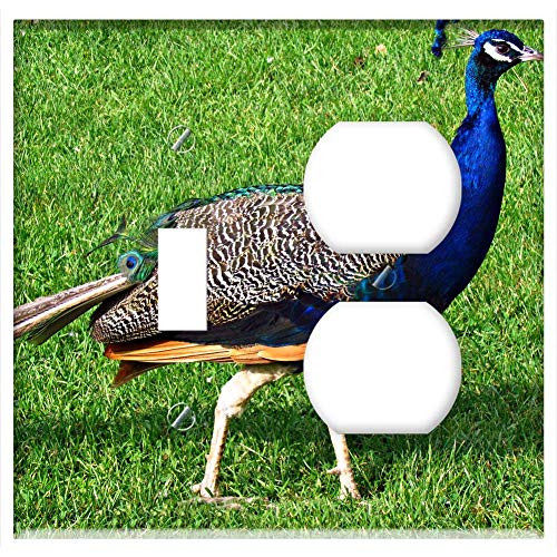 2-Gang, Toggle Outlet Combination Wall Plate Cover - Peacock Bird Nature Proud Plumage Pen Peacock Eye 5
