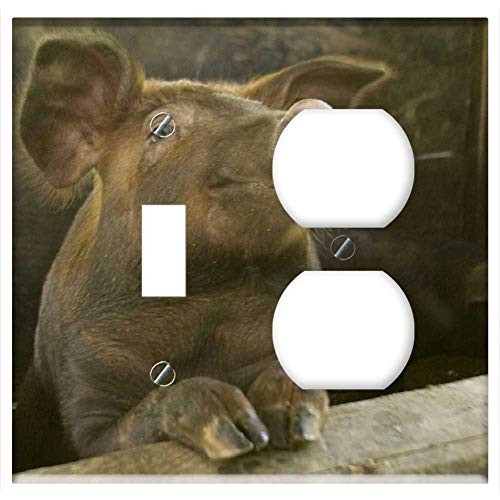 2-Gang, Toggle Outlet Combination Wall Plate Cover - Pig Swine Pork Agriculture Portrait Pen Barn 2-Gang, Toggle Outlet Combination Wall Plate Cover - Pig Swine Pork Agriculture Portrait Pen Barn