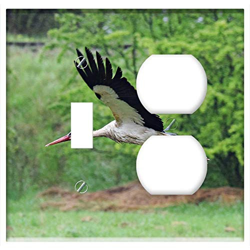 2-Gang, Toggle Outlet Combination Wall Plate Cover - Stork Flight Bird Pen Wings