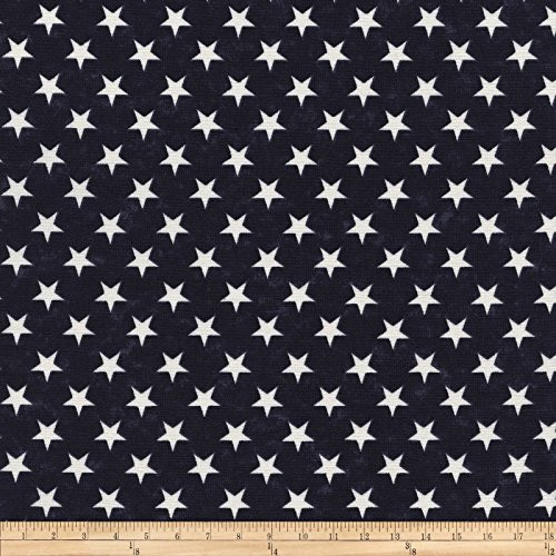 Timeless Treasures  inchStars inch Quilt Fabric, Blue