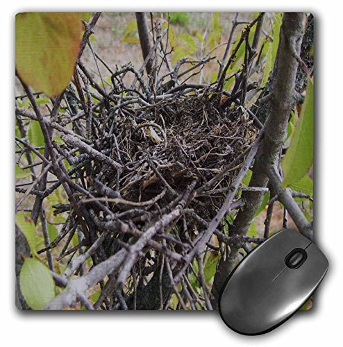 3dRose LLC 8 x 8 x 0.25 Inches Mouse Pad, Empty Bird Nest (mp_36698_1)