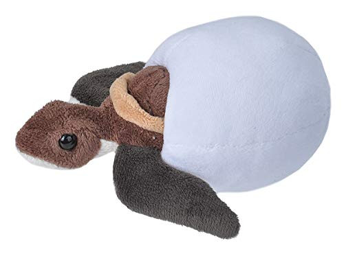 Wild Republic Loggerhead Sea Turtle Plush, Stuffed Animal, Plush Toy, Kids Gifts, Hatchlings 6 Inches