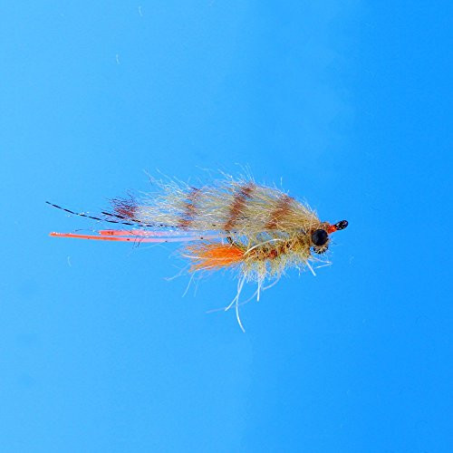 Enrico Puglisi EP Bahamas Shrimp TAN 6, 2 PK