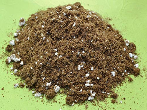 Bamboo Bonsai Plant Potting Soil Mix Peat Moss  and  Perlite (½ Gallon / 2 quarts) from Baby Violets