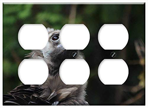 Triple Duplex Outlet Wall Plate Cover - Bird Living Nature Nature Animals Pen Portrait