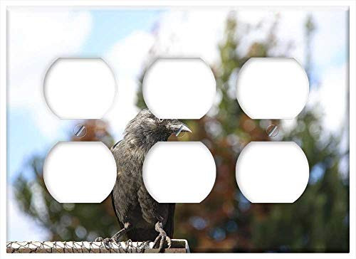 Triple Duplex Outlet Wall Plate Cover - Bird Pen Ornithology Little Bird Plumage Animal