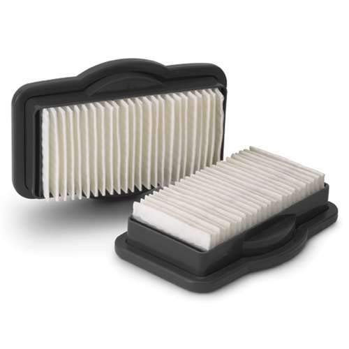 Royal Dirt Devil Filter Assembly Bv2030 2XA1185000