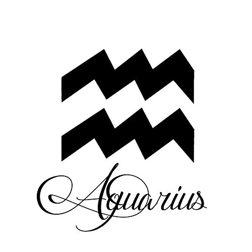 Zodiac Sign Aquarius Script Writing Silhouette 6 inch Vinyl Sticker Car Decal (6 inch Black) Zodiac Sign Aquarius Script Writing Silhouette 6 inch Vinyl Sticker Car Decal (6 inch Black)