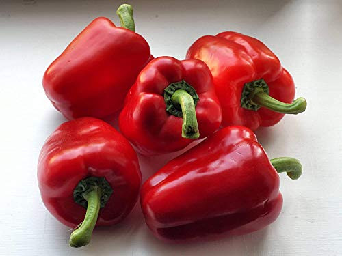 Big Red Bell Pepper Seeds, 50 Heirloom Seeds Per Packet, Non GMO Seeds