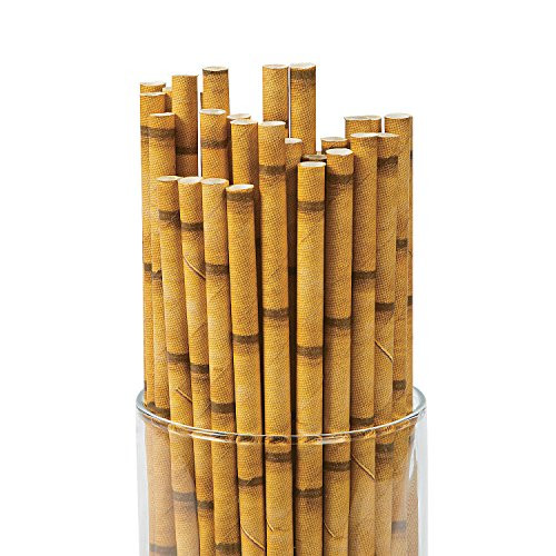 Fun Express Paper Straws - Biodegradable Disposable Plastic Party Decorative straws (24, Bamboo)