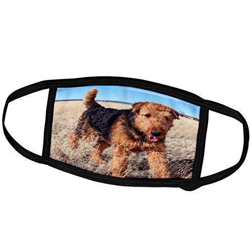 3dRose Face Mask Medium, Airedale Terrier in a Field of Dried Grasses