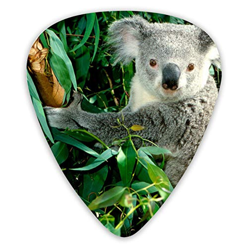 Koala Guitar Picks 12 Pcs, Light Medium Thin Unique Guitar Gift For Bass, Electric  and  Acoustic Guitars