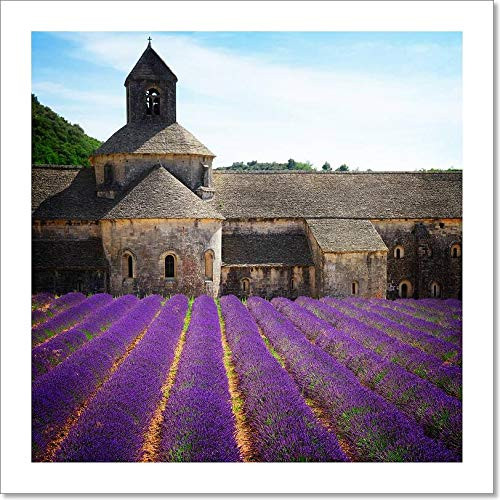 Barewalls Abbey Senanque and Lavender Field, France Paper Print Wall Art (8in. x 8in.)