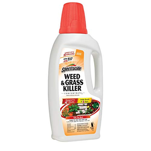Spectracide Weed  and  Grass Killer Concentrate2, 32-Ounce