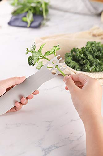 Stainless Steel Herb Stripper -Kale  and  Herb Stripper, for Leafy Greens and Woody Herbs, Kale Kitchen Gadgets Leaf Stripping Tool Separator