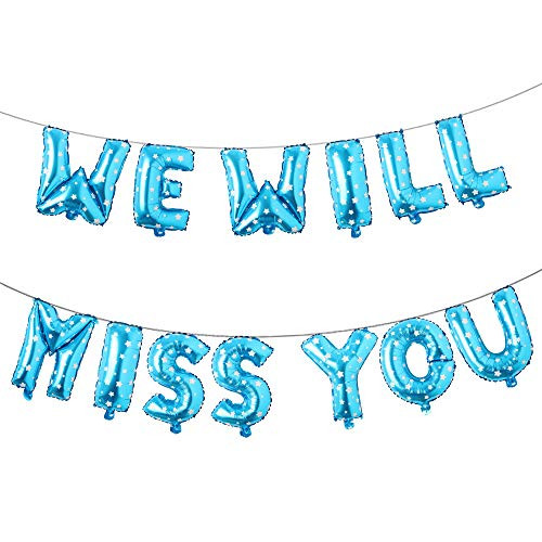 Farewell Party Decorations Supplies We Will Miss You Balloon Banner Kit Going Away Party Goodbye Retirement Office Work Party Office Work Graduation Decorations (WE Will Miss You Blue Star)