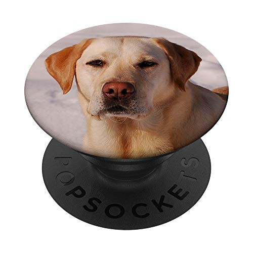Yellow Labrador Retriever Pet Lab Dog PopSockets Grip and Stand for Phones and Tablets Yellow Labrador Retriever Pet Lab Dog PopSockets Grip and Stand for Phones and Tablets